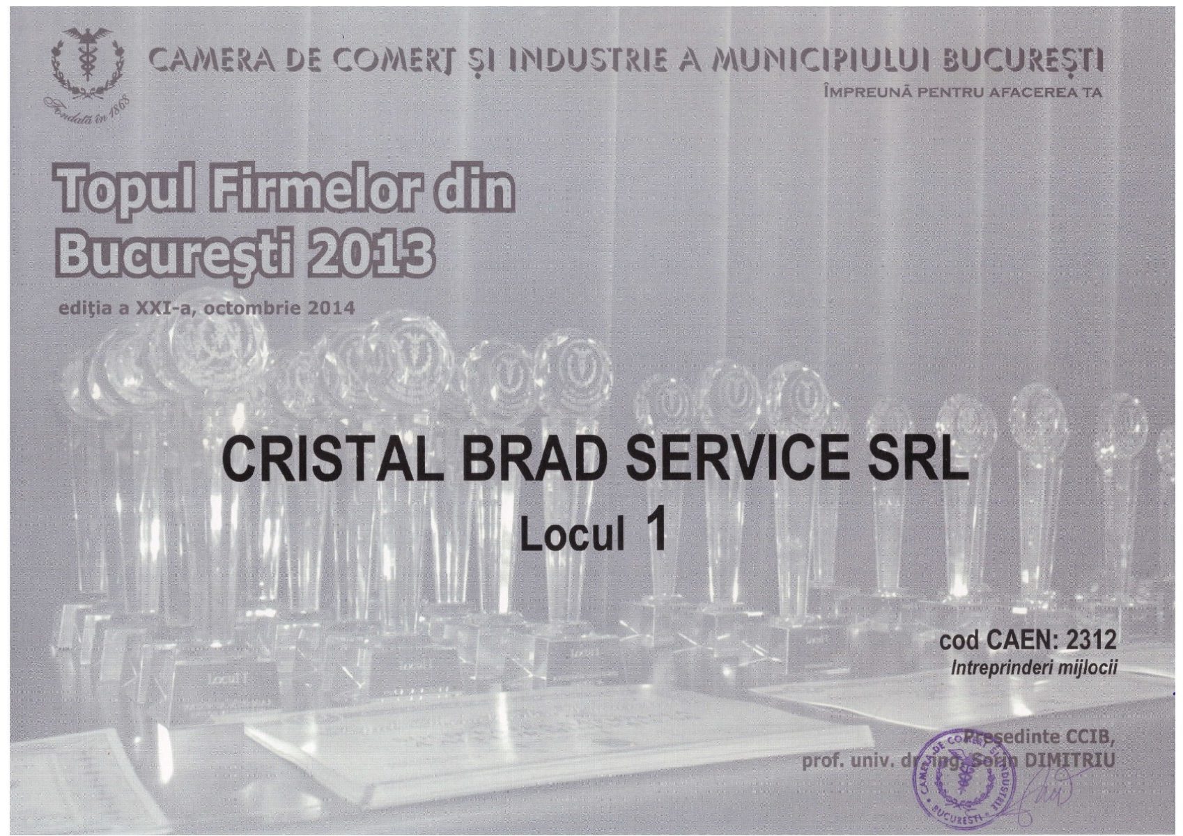 Diplomă Cristal Brad