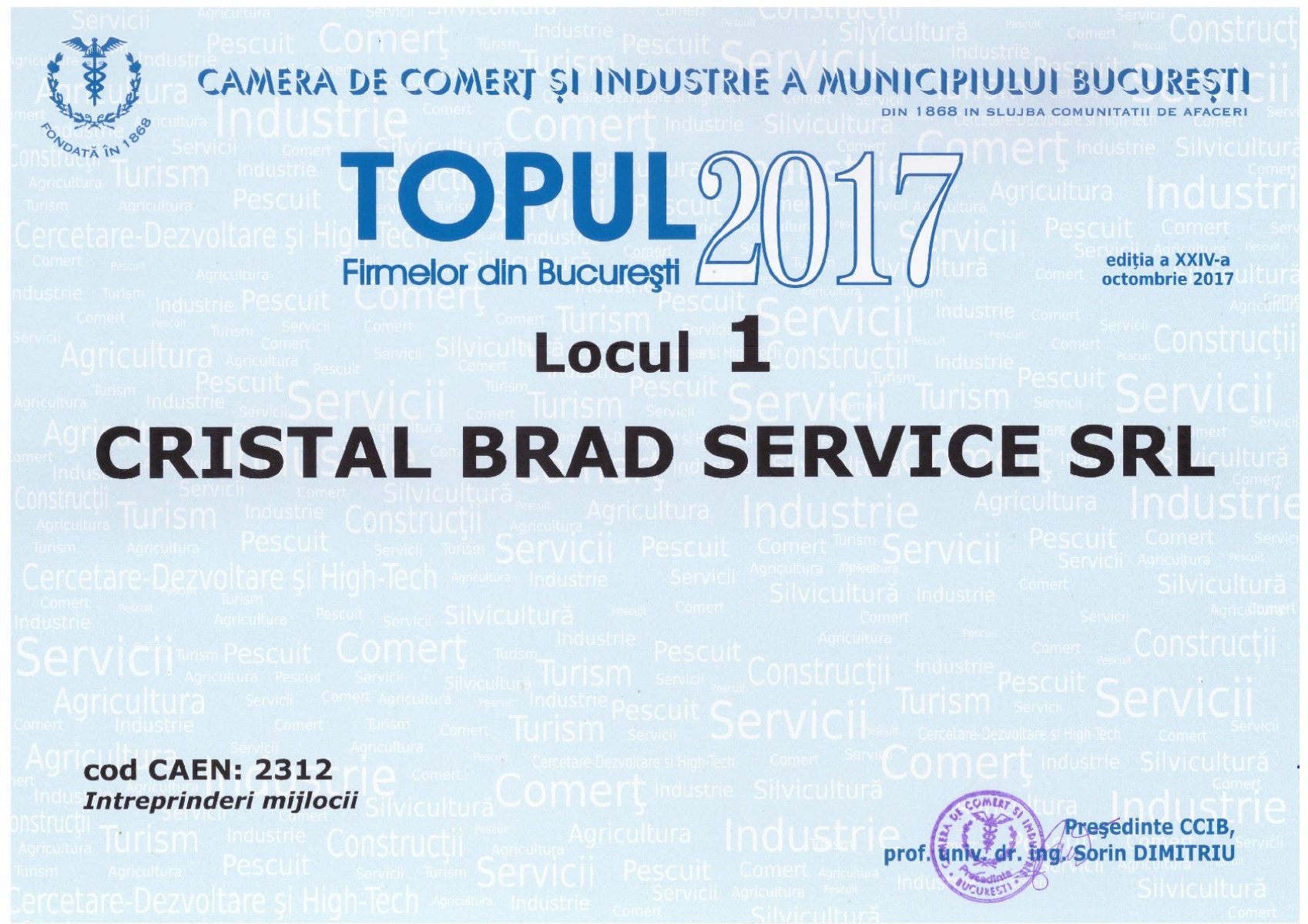 Diplomă Cristal Brad